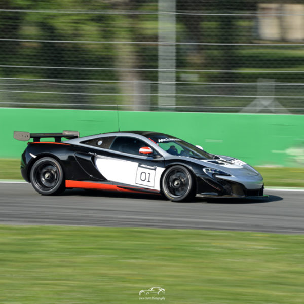 mclaren p1 gtr (32)