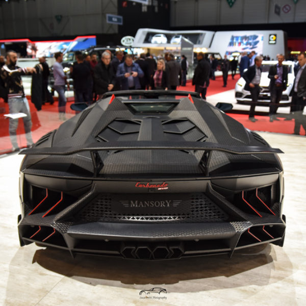 Salone di Ginevra 2019 (255)