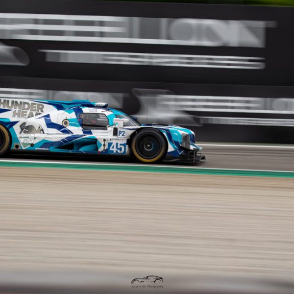 ELMS (39)